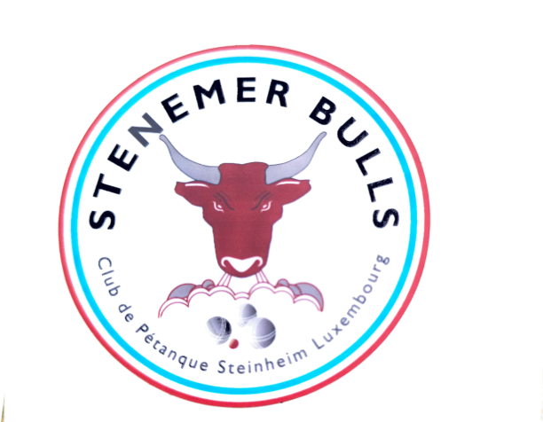Logo Stenemer Bulls
